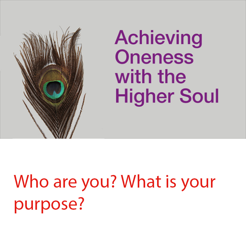 Achieving Oneness with the Higher Soul Course